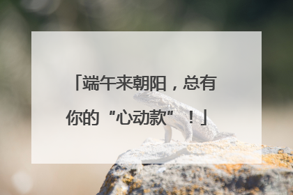 端午来朝阳，总有你的“心动款”！