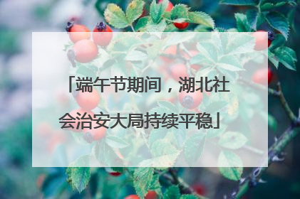 端午节期间，湖北社会治安大局持续平稳