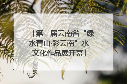 第一届云南省“绿水青山·彩云南”水文化作品展开幕