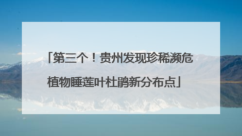 第三个！贵州发现珍稀濒危植物睡莲叶杜鹃新分布点