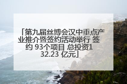 第九届丝博会汉中重点产业推介暨签约活动举行 签约 93个项目 总投资132.23 亿元