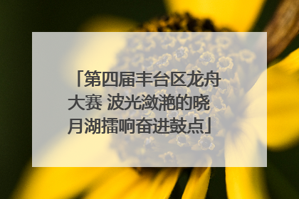 第四届丰台区龙舟大赛 波光潋滟的晓月湖擂响奋进鼓点