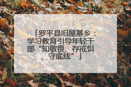 罗平县旧屋基乡：学习教育引导年轻干部“知敬畏、存戒惧、守底线”