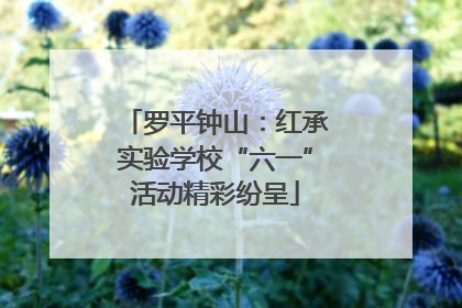 罗平钟山：红承实验学校“六一”活动精彩纷呈