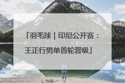 羽毛球｜印尼公开赛：王正行男单首轮晋级