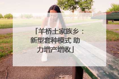 羊桥土家族乡：新型套种模式 助力增产增收