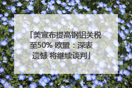 美宣布提高钢铝关税至50% 欧盟：深表遗憾 将继续谈判