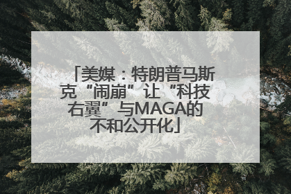 美媒：特朗普马斯克“闹崩”让“科技右翼”与MAGA的不和公开化