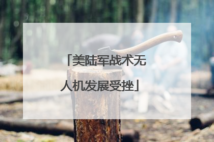 美陆军战术无人机发展受挫