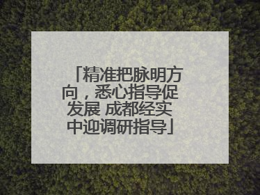 精准把脉明方向，悉心指导促发展 成都经实中迎调研指导