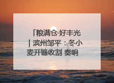 粮满仓·好丰光｜滨州邹平：冬小麦开镰收割 奏响夏日丰收曲