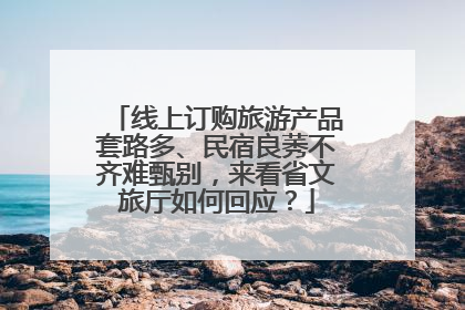 线上订购旅游产品套路多、民宿良莠不齐难甄别，来看省文旅厅如何回应？