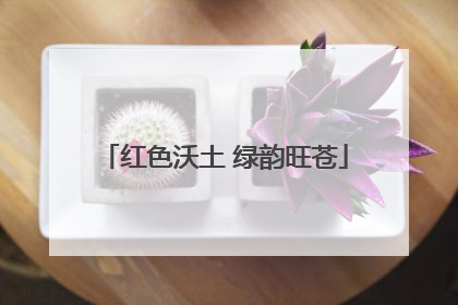 红色沃土 绿韵旺苍