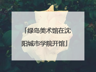 绿岛美术馆在沈阳城市学院开馆