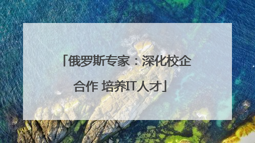 俄罗斯专家：深化校企合作 培养IT人才