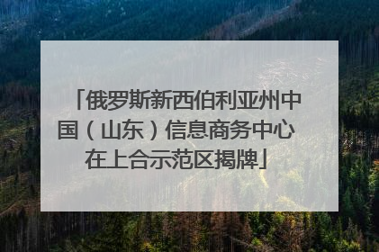 俄罗斯新西伯利亚州中国（山东）信息商务中心在上合示范区揭牌