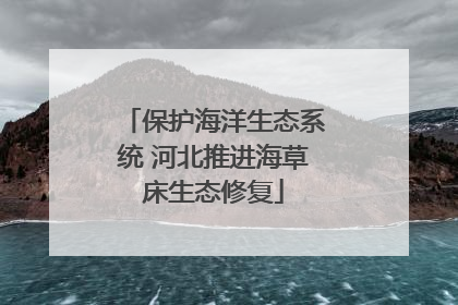 保护海洋生态系统 河北推进海草床生态修复