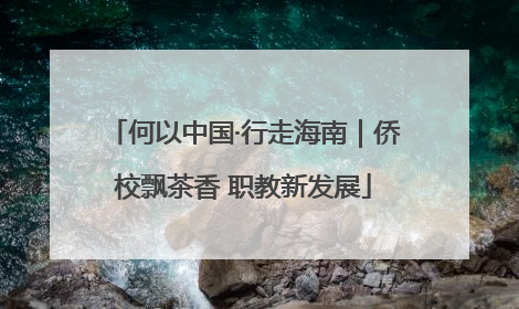 何以中国·行走海南｜侨校飘茶香 职教新发展