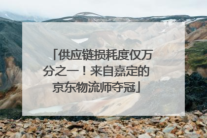 供应链损耗度仅万分之一！来自嘉定的京东物流师夺冠