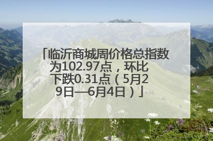 临沂商城周价格总指数为102.97点，环比下跌0.31点（5月29日—6月4日）