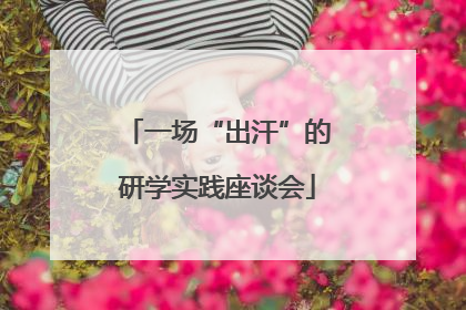 一场“出汗”的研学实践座谈会