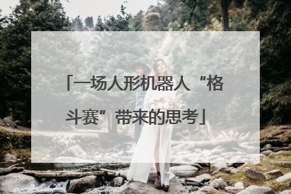 一场人形机器人“格斗赛”带来的思考