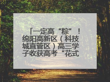 一定高“粽”！绵阳高新区（科技城直管区）高三学子收获高考“花式”祝福