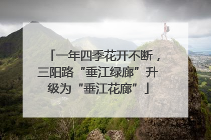 一年四季花开不断，三阳路“垂江绿廊”升级为“垂江花廊”