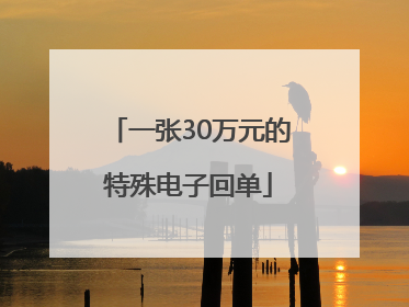 一张30万元的特殊电子回单