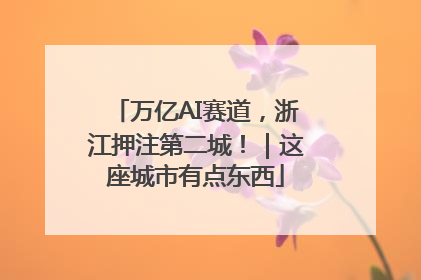 万亿AI赛道，浙江押注第二城！｜这座城市有点东西