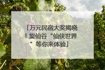 万元民宿大奖揭晓！望仙谷“仙侠世界”等你来体验
