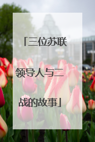 三位苏联领导人与二战的故事