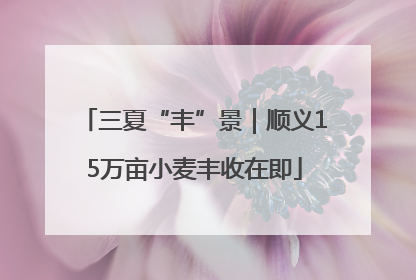 三夏“丰”景｜顺义15万亩小麦丰收在即