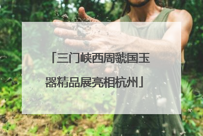 三门峡西周虢国玉器精品展亮相杭州