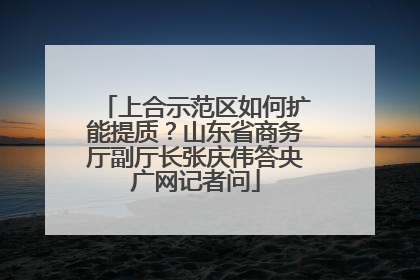 上合示范区如何扩能提质？山东省商务厅副厅长张庆伟答央广网记者问
