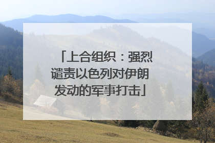 上合组织：强烈谴责以色列对伊朗发动的军事打击