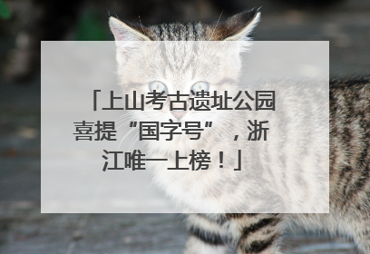 上山考古遗址公园喜提“国字号”，浙江唯一上榜！
