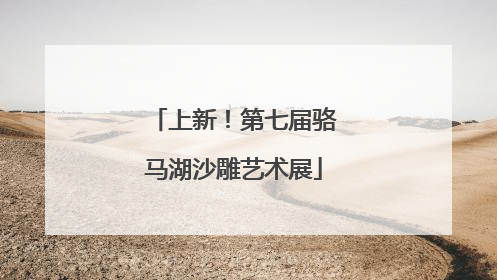 上新！第七届骆马湖沙雕艺术展