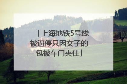 上海地铁5号线被逼停只因女子的包被车门夹住
