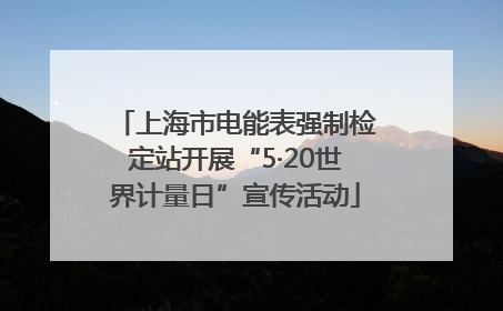 上海市电能表强制检定站开展“5·20世界计量日”宣传活动