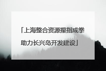 上海整合资源攥指成拳助力长兴岛开发建设