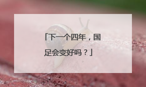 下一个四年，国足会变好吗？
