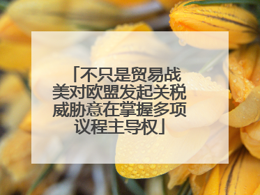 不只是贸易战 美对欧盟发起关税威胁意在掌握多项议程主导权