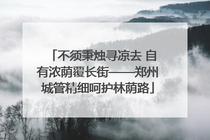 不须秉烛寻凉去 自有浓荫覆长街——郑州城管精细呵护林荫路