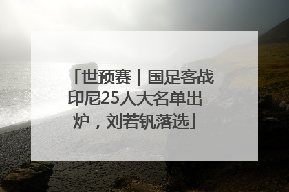 世预赛｜国足客战印尼25人大名单出炉，刘若钒落选
