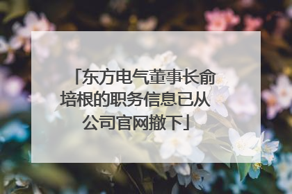 东方电气董事长俞培根的职务信息已从公司官网撤下