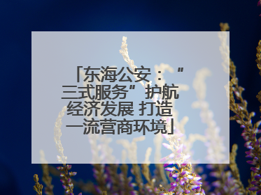 东海公安：“三式服务”护航经济发展 打造一流营商环境