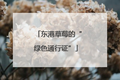 东港草莓的“绿色通行证”