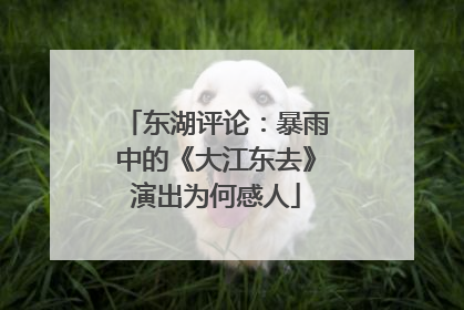 东湖评论：暴雨中的《大江东去》演出为何感人