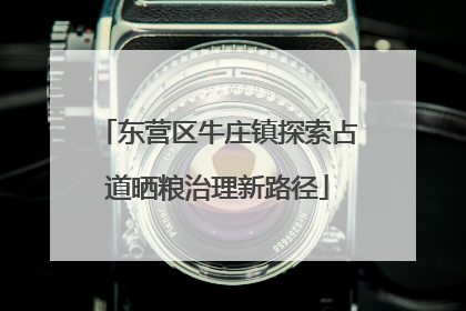 东营区牛庄镇探索占道晒粮治理新路径